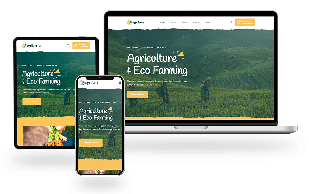 Website design